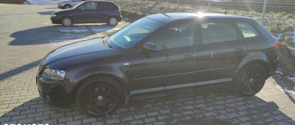 Audi A3 cena 15900 przebieg: 266000, rok produkcji 2004 z Suchowola małe 211